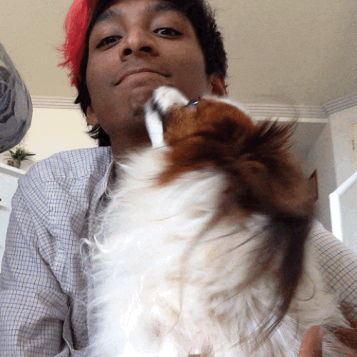 chip
