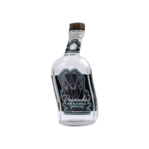 Desnuda Tequila GIFs on GIPHY - Be Animated