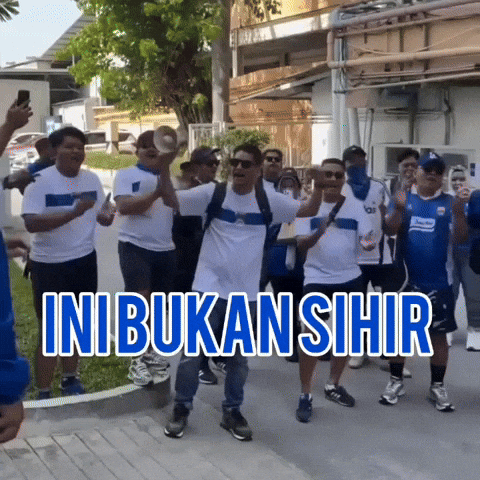 Viking Persib GIF
