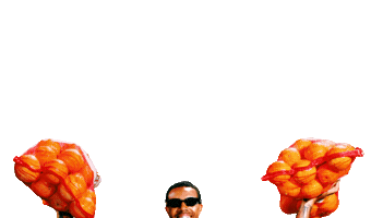 Oranges Dei Sticker by Vic Mensa