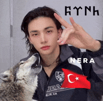 Straykids GIF