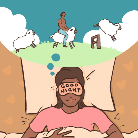 Illustrated gif. A woman lays in bed with an eye mask that says, “Good night,” over her eyes. She smiles as she dreams of sheep jumping over a fence. On every third sheep there’s a hot shirtless guy riding the sheep. 