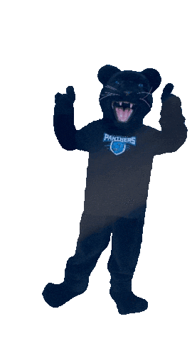 Academica Sticker by Somerset Panthers