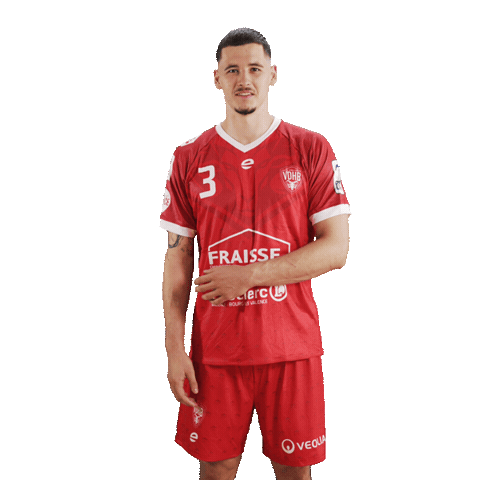 Sacha Sticker by Valence Drôme Handball
