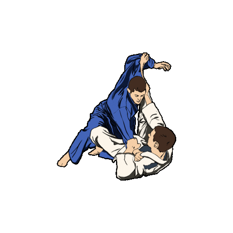 BJJ Arena Sticker