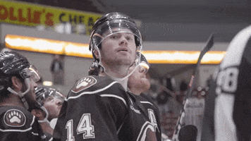 Hershey Bears GIFs on GIPHY - Be Animated