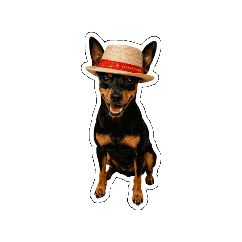 Indierock Minipincher Sticker by Plaza Sonora