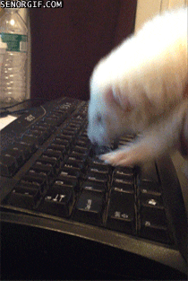 Computer Hacking GIF by Cheezburger - Find & Share on GIPHY