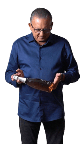 Buenowines Sticker by Galvão Bueno