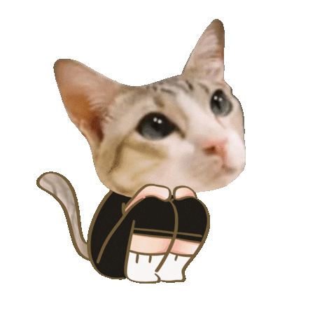 Cat Sticker