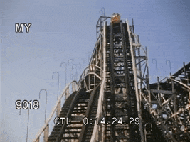 200.gif?cid=fc005b08c13b4969ef6793c5c41489f53415f18ad6f653a5&rid=200.gif&ct=g