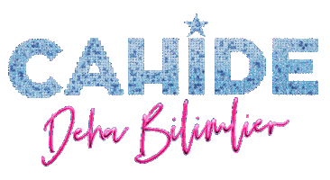 Deha Bilimlier Sticker by Cahide Palazzo