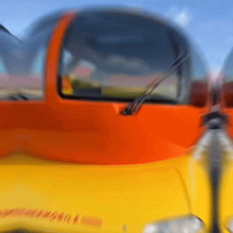 Hot Dog Win GIF by Oscar Mayer
