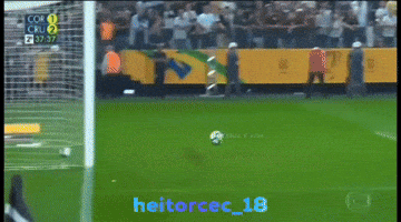 Cruzeiro Copadobrasil GIF