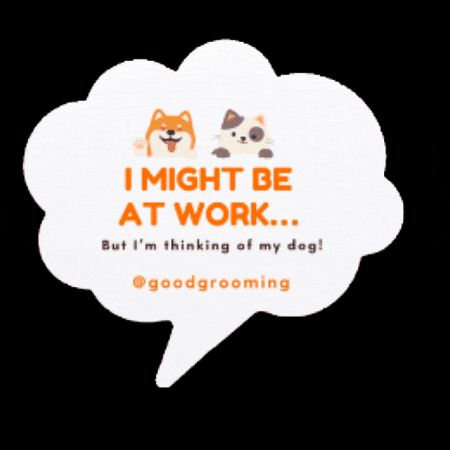 GoodGrooming GIF