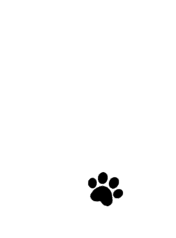 Dogs Paws Sticker by Body Glove