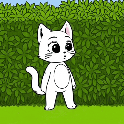 Scared Scaredy Cat GIF by Hero Galaxy NFT