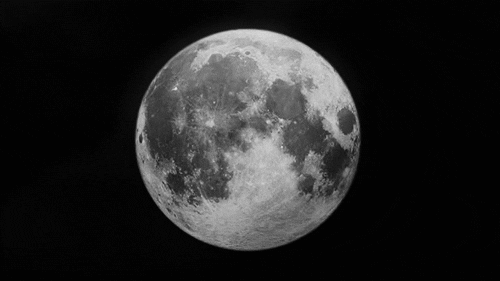 Moon-bw-toony GIFs - Get the best GIF on GIPHY