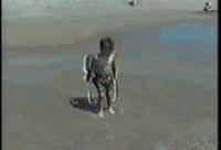 beach-funny-video-XrDT8BuYB3I2s