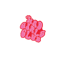 Animated Sticker