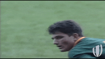 south africa hello GIF by World Rugby