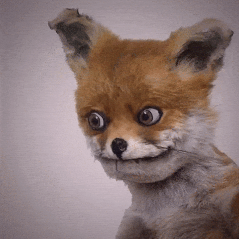 giphy-downsized.gif