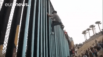 wall climbing GIF by euronews