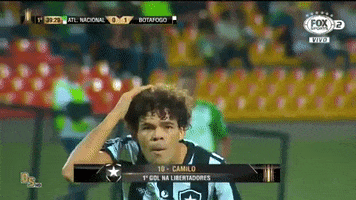 GIF by Botafogo