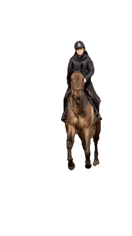 Gallop Horse Riding Ystavanihevonen Ystävänihevonen Horse Rider Galloping Horseylove Sticker