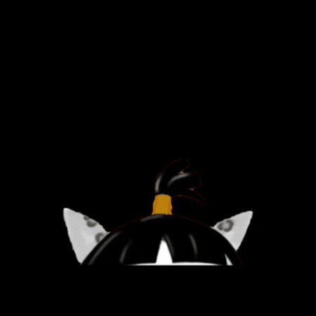 I Am Watching GIF by Insomnia Cats