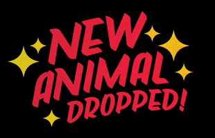New Animal GIF