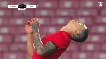 Frustrated Sl Benfica GIF by Sport Lisboa e Benfica