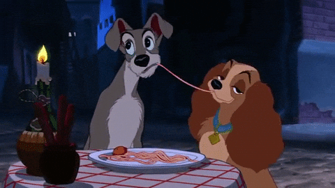 giphy.gif?cid=790b76112d01df13487e474205
