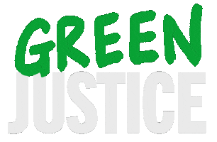 Green New Deal Sticker by dianne4nyc