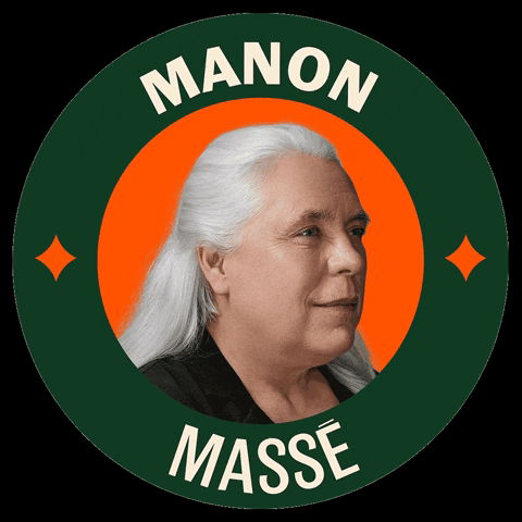 Manon Masse Vote GIF by Québec solidaire