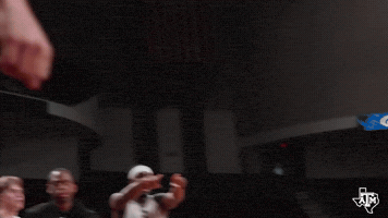 Bucky Ball GIF by Texas A&M Athletics