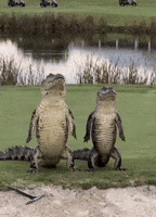 Golf Course Dancing GIF