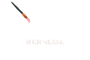 Art Month Sticker by Bermuda Tourism Authority