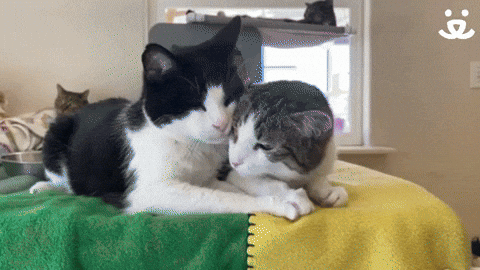 GIF by Digg - Find & Share on GIPHY