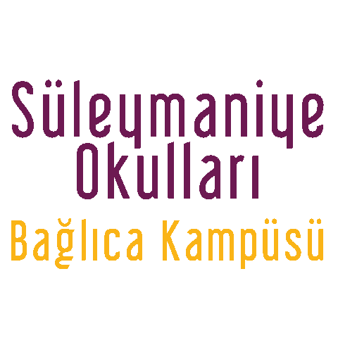suleymaniye okulları Sticker