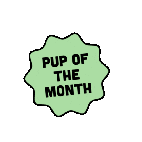 Giveaway Pup Sticker by Love Harlso