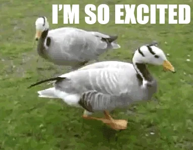 duck happy dance GIF