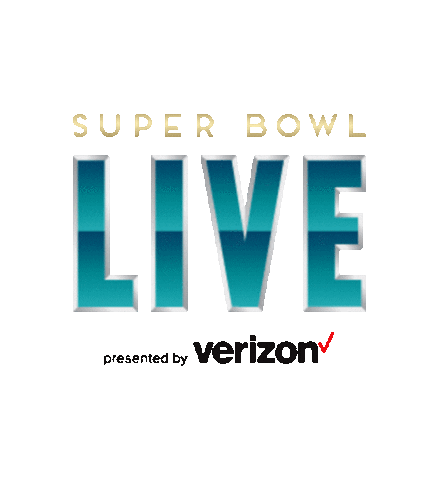 Miami Super Bowl Host Committee Sticker