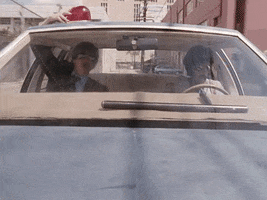 Cop Car Stunt GIF by Beastie Boys