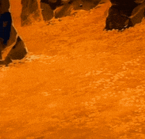 scrooge mcduck gold GIF