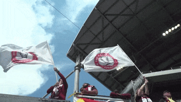 Valour Fc Flags GIF by Red River Rising