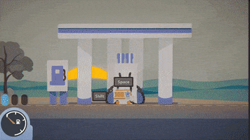 Cat GIF