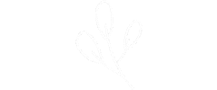 Christmas Flower Sticker