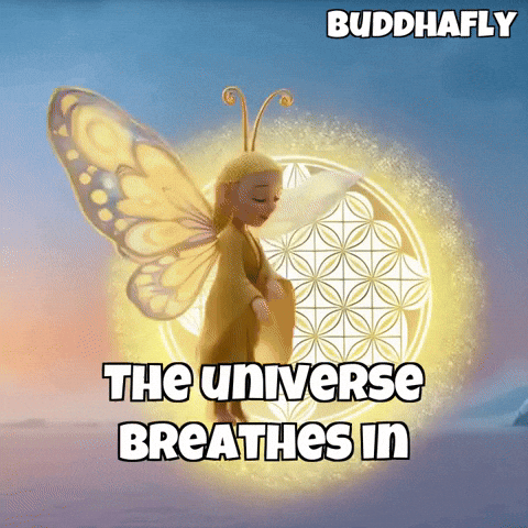 Butterfly GIF by BuddhaFlyJourney