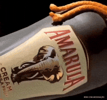 Amarula Brasil GIF